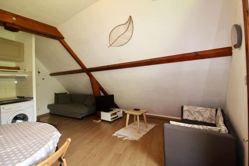 Bel Appartement T2 Cabine Loudenvielle Buitenkant foto